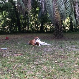 Meet your Posher, Allison